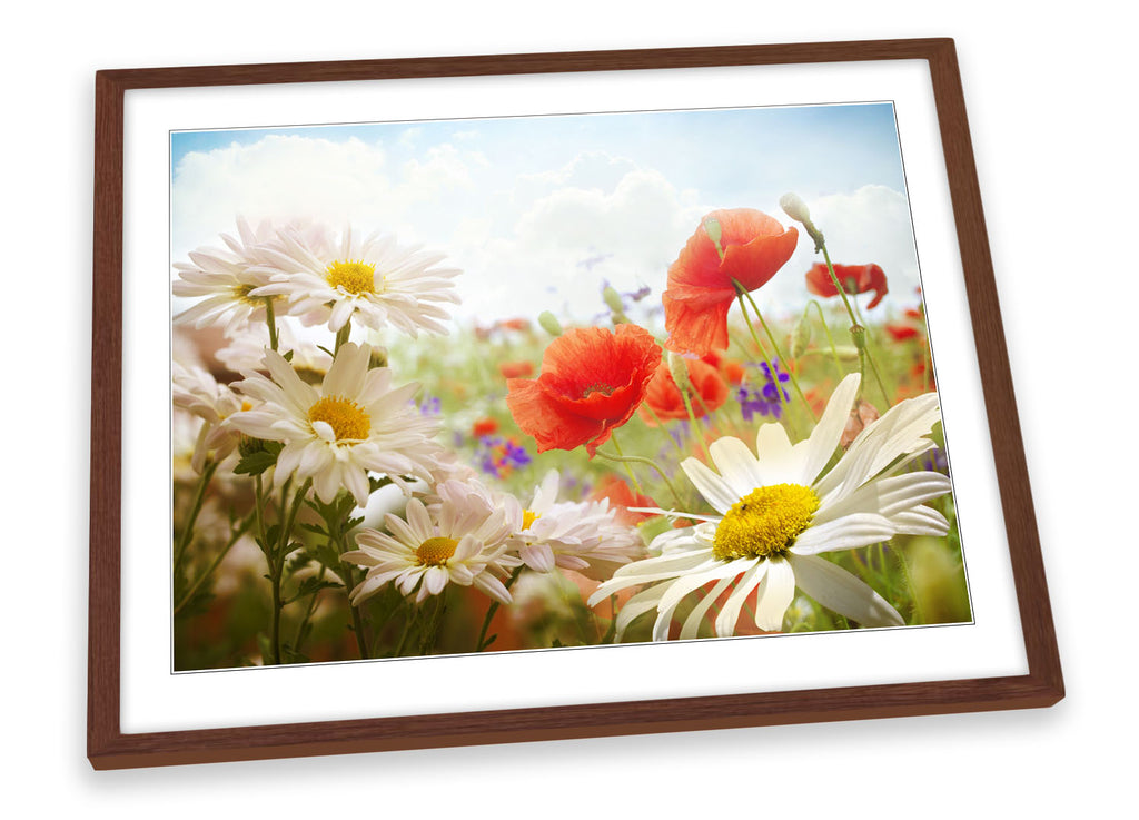 Field of Daisies Floral Flower Framed