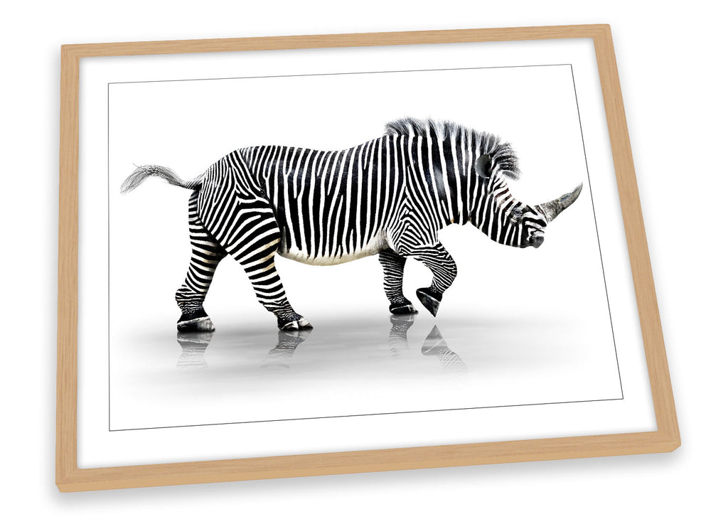 Rhino Striped Zebra Black & White Framed