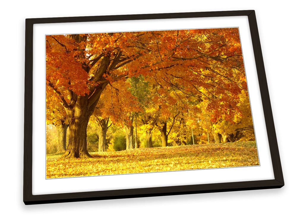 Autumn Floral Tree Framed