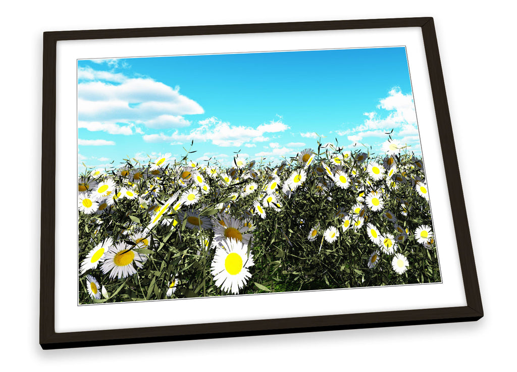 Floral Daisy Field Meadow Framed
