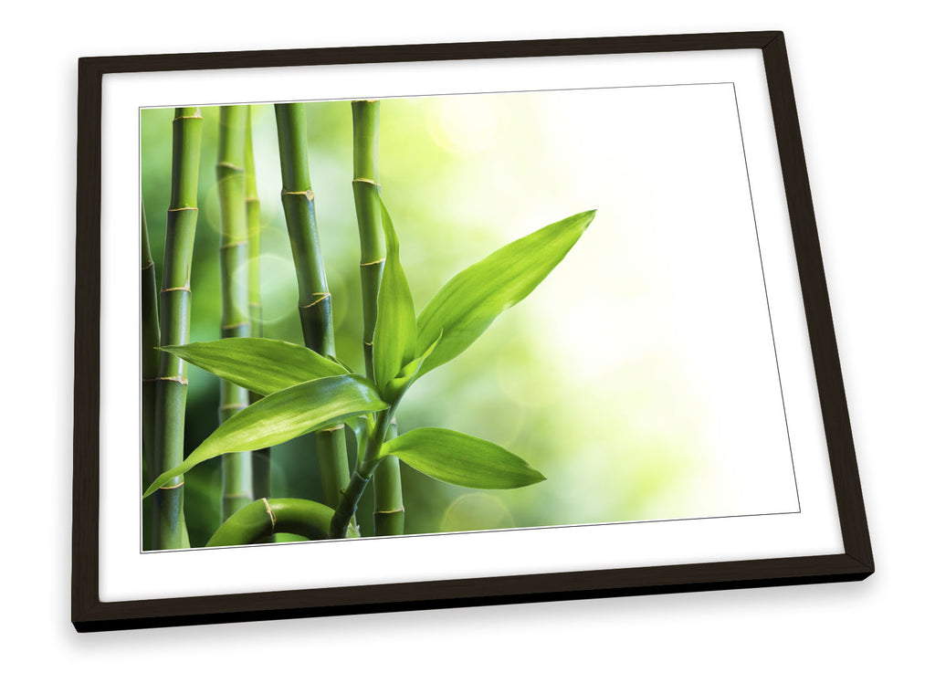 Bamboo Floral Framed