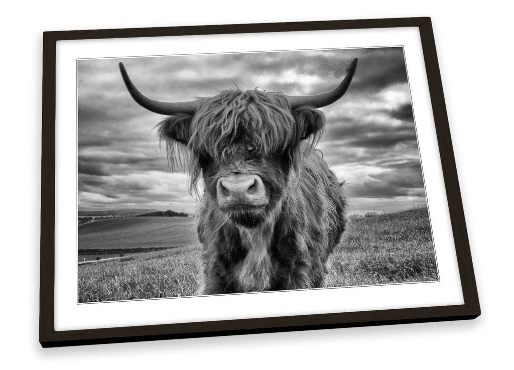 Highland Cow B&W Grey Framed