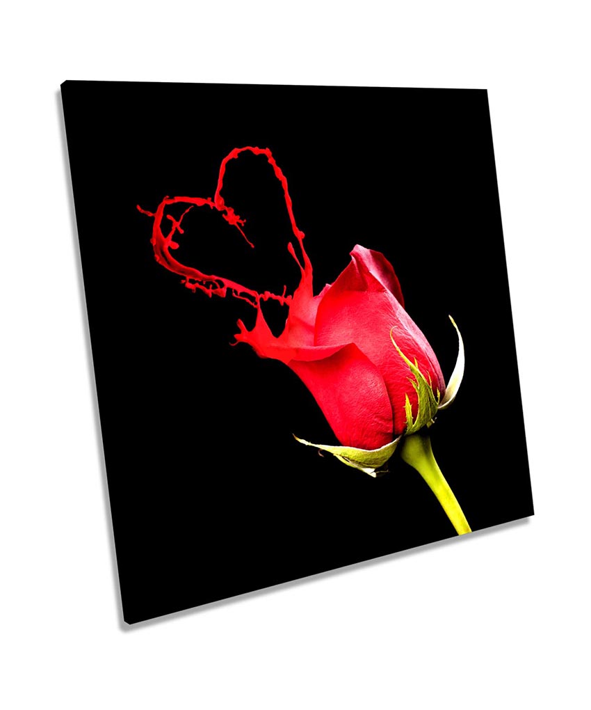 Red Rose Flower Love Heart Black