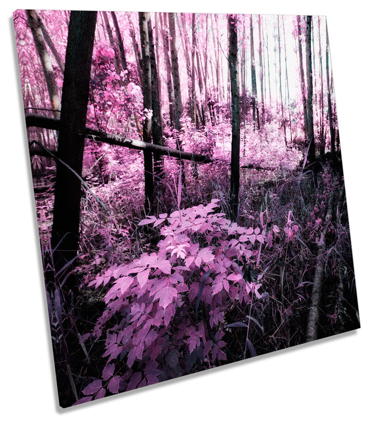 Landscape Floral Blossom Scene