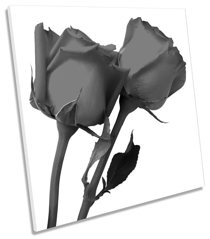 Pair of Roses Floral Flower B&W