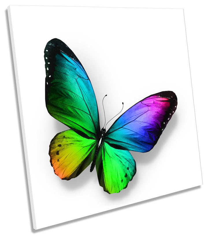 Rainbow Butterfly