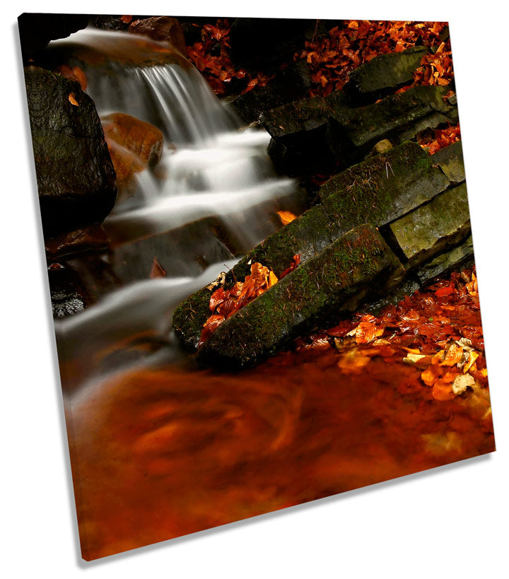 Autumn Stream Forest Landscapes