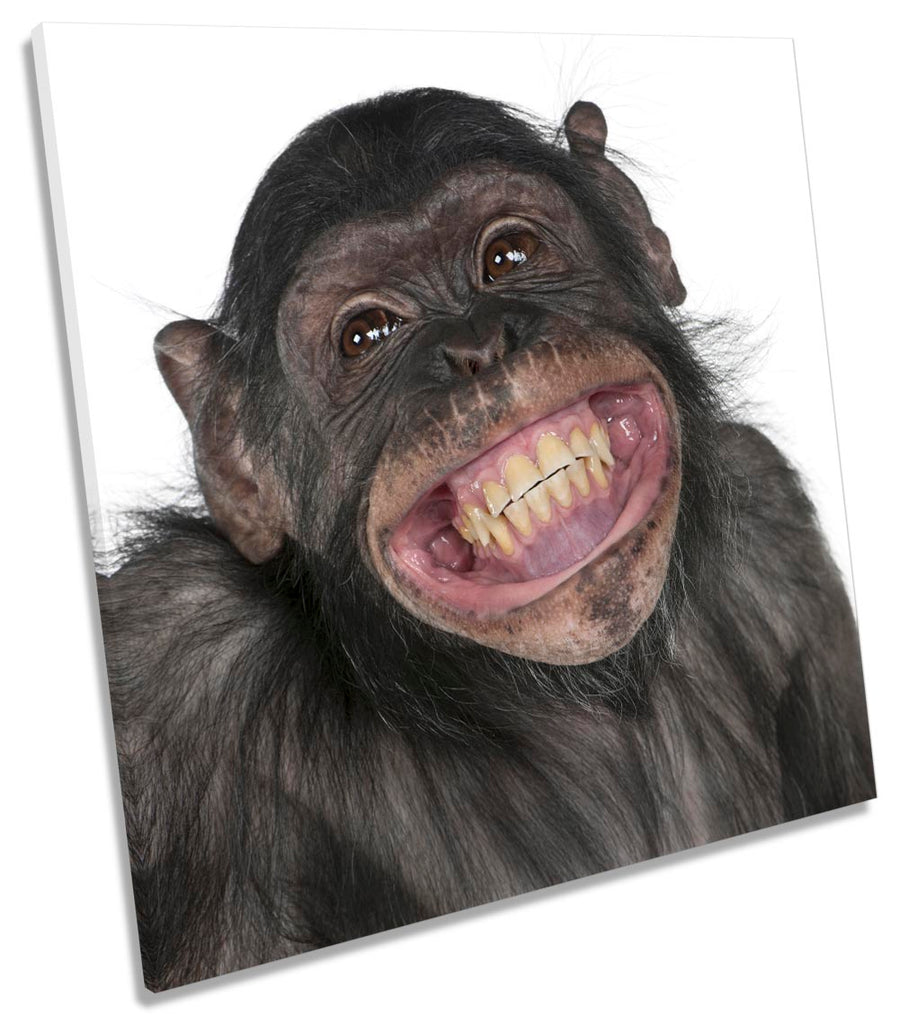 Cheeky Monkey Chimp Smile