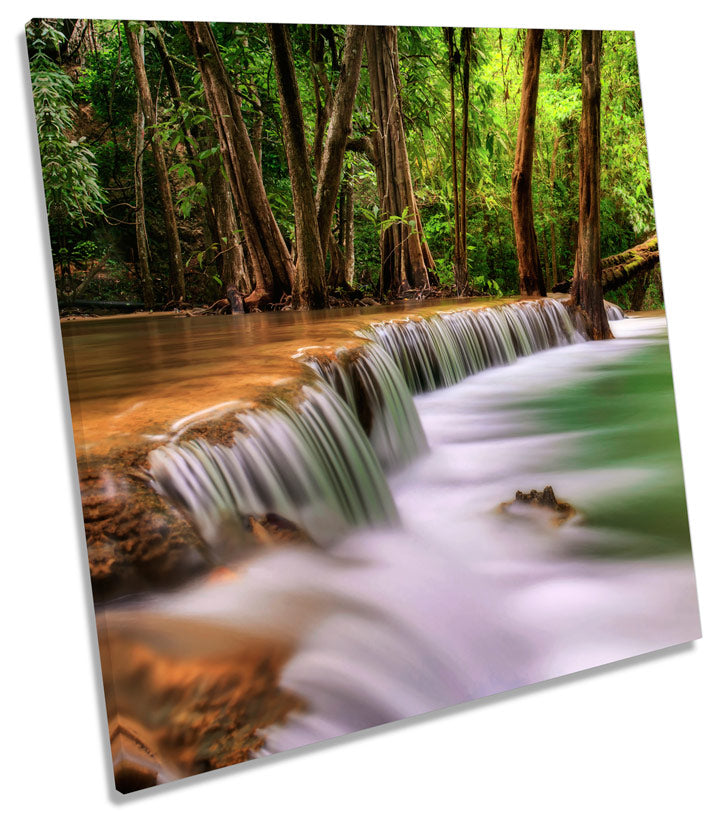 Forest Landscape Tropical River