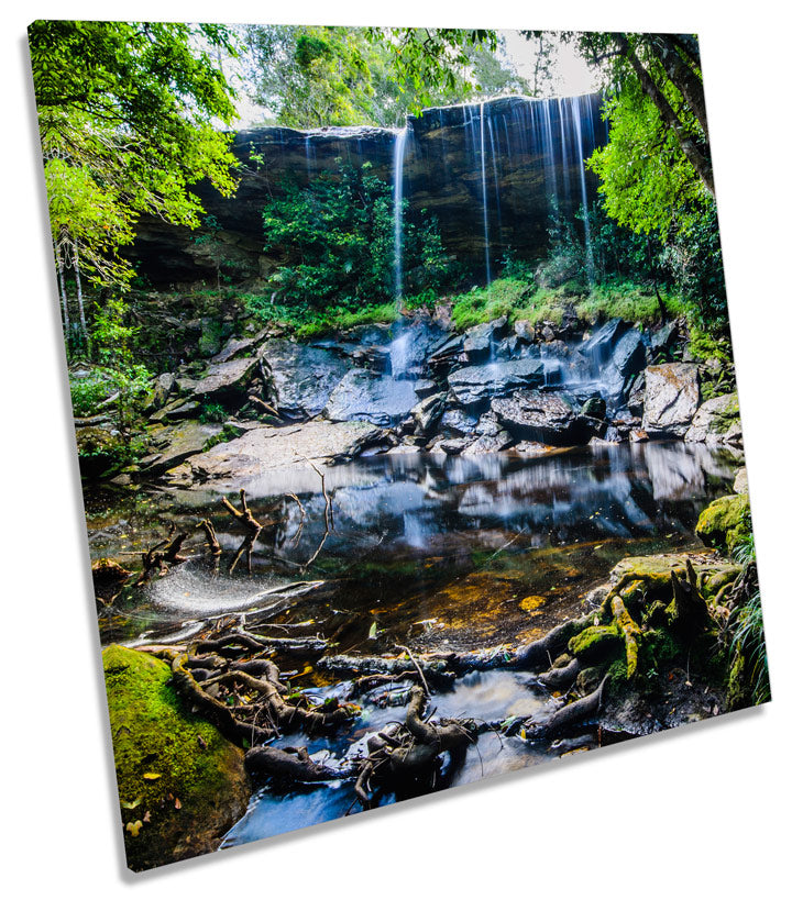 Tropical Rain Forest Waterfall