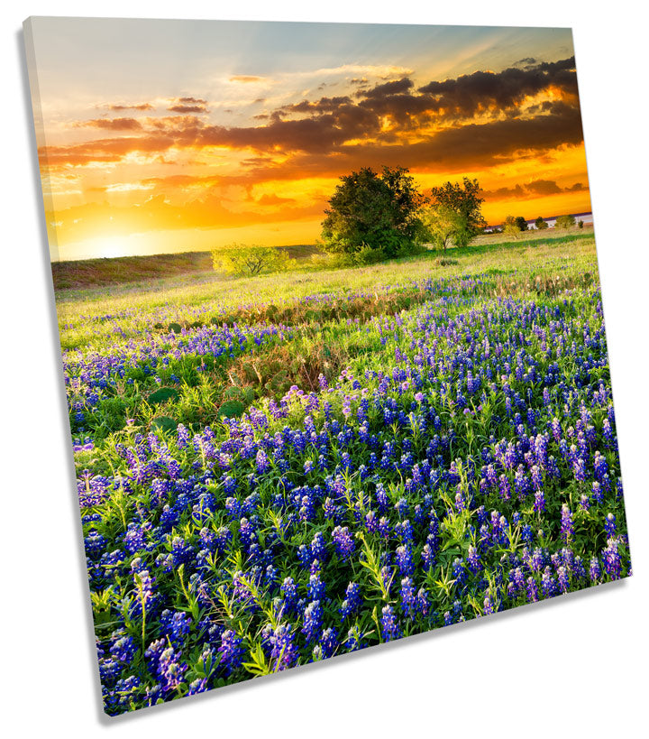 Landscape Floral Flower Sunset