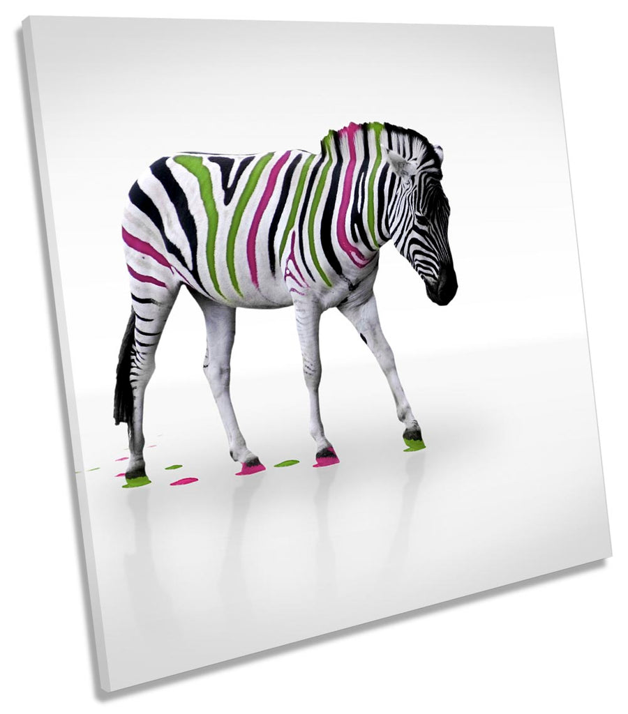 Zebra Multi Coloured Stripes