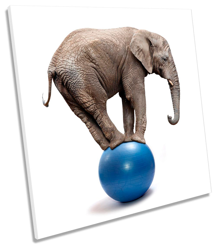 Elephant Balancing Ball Grey