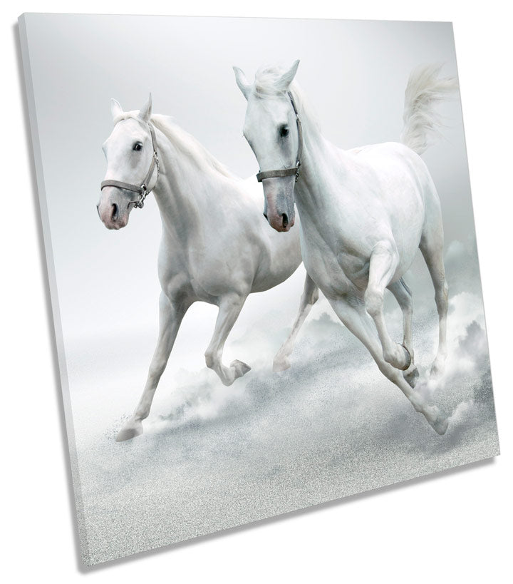 White Horses Stallion