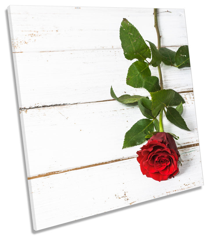 Rose on Floorboards