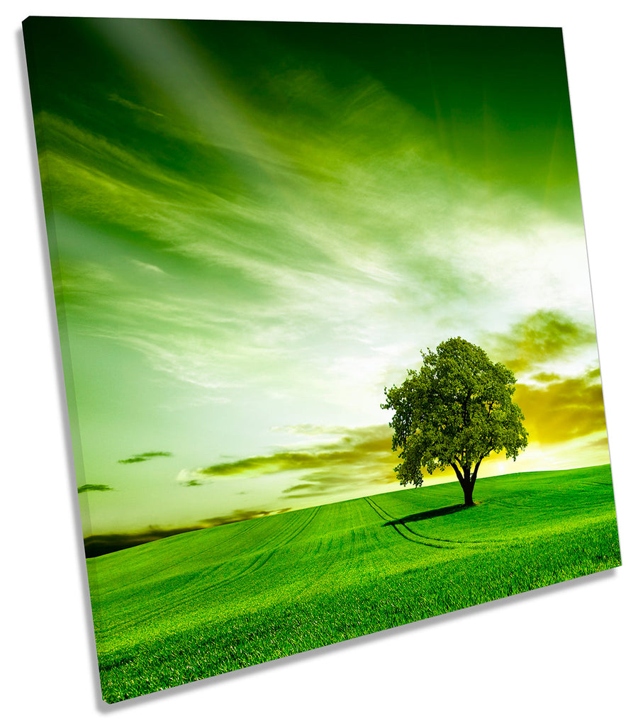 Green Landscape Tree Countryside