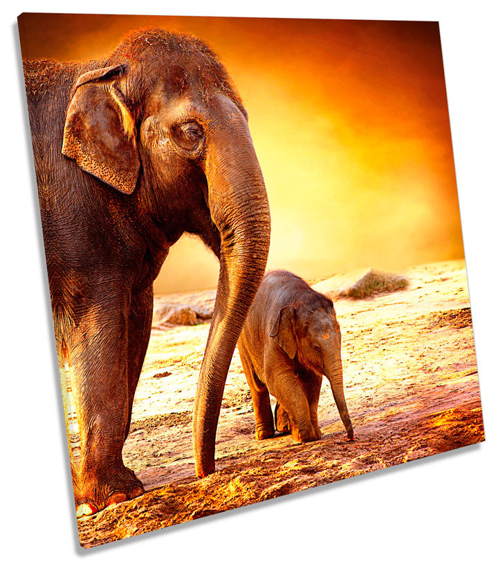 Elephants Sunset