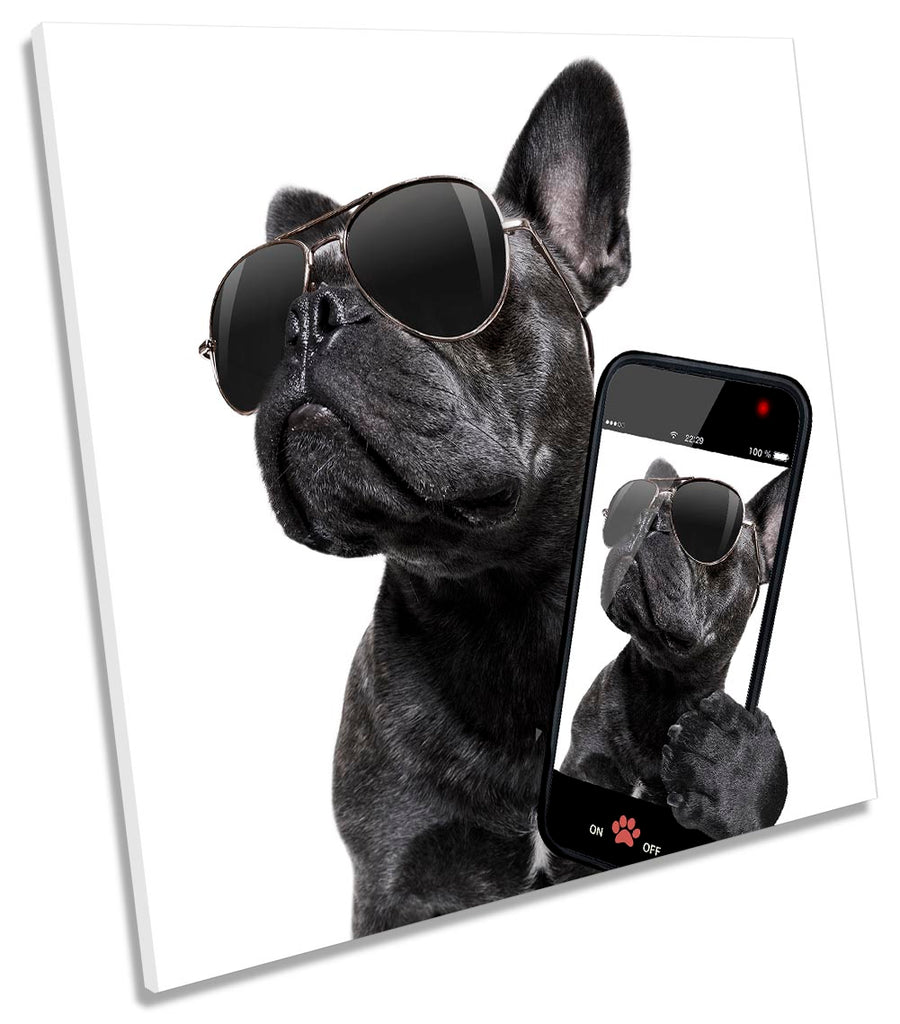 French Bulldog Selfie Black