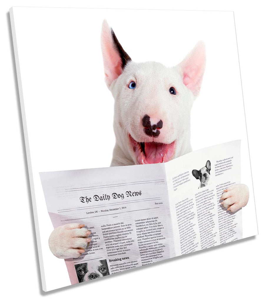 Funny Bull Terrier Dog Newspaper White