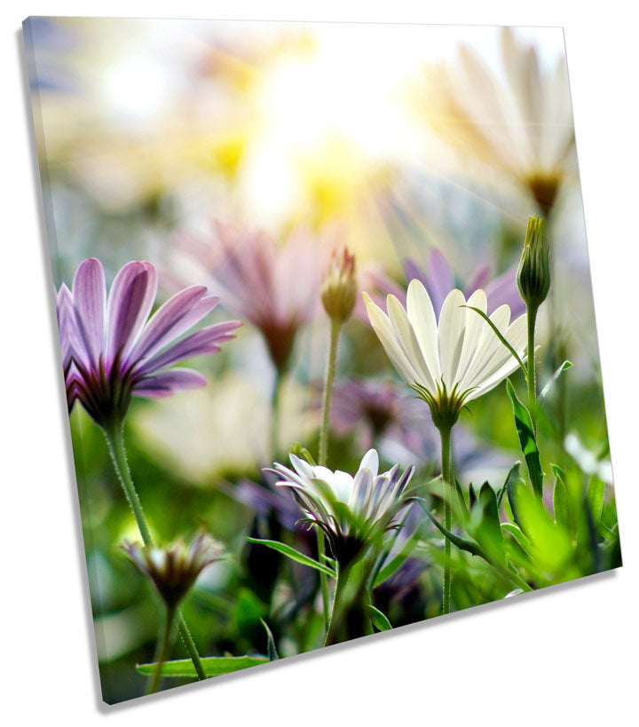 Summer Floral Meadow Scene