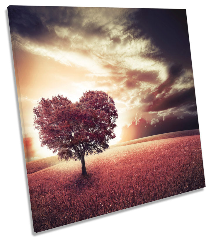 Love Heart Tree Autumn Sunset