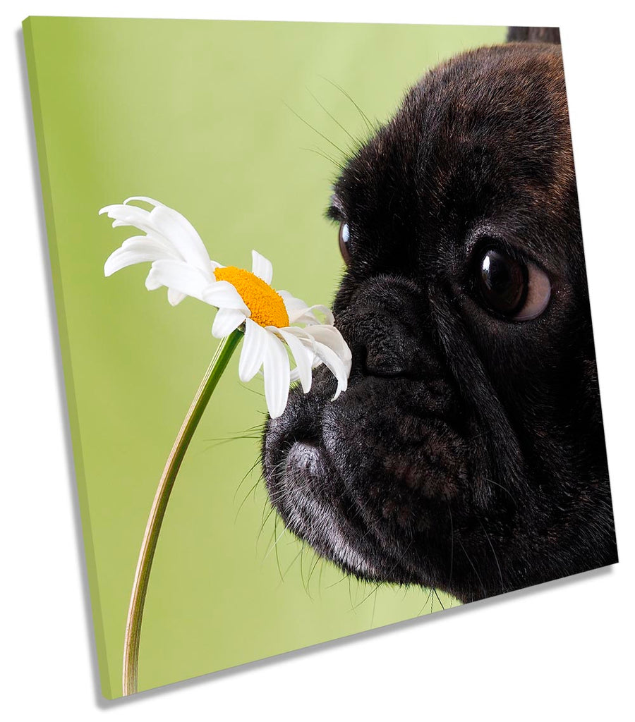 French Bulldog Flower Green