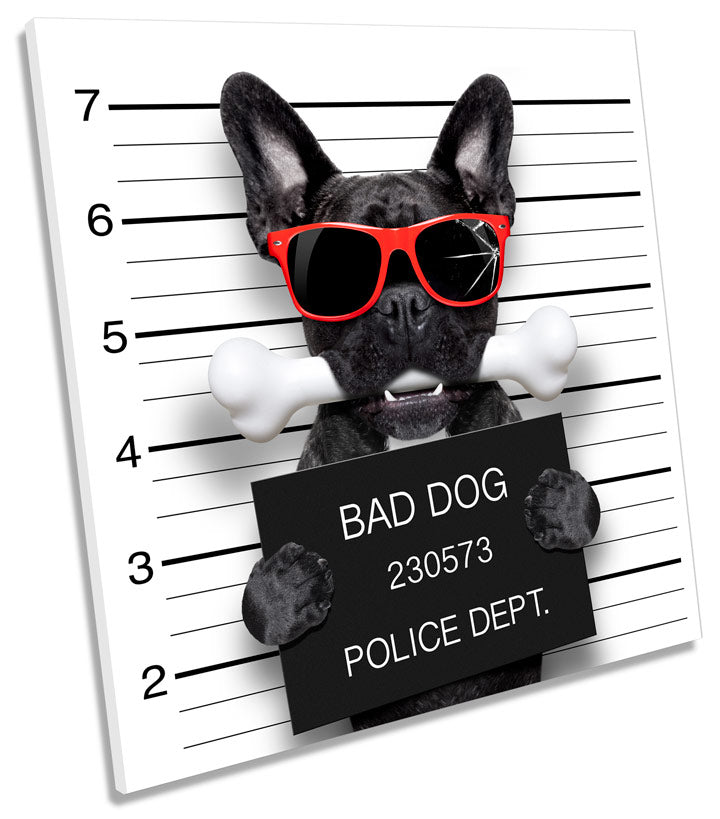 Bad Dog Mugshot