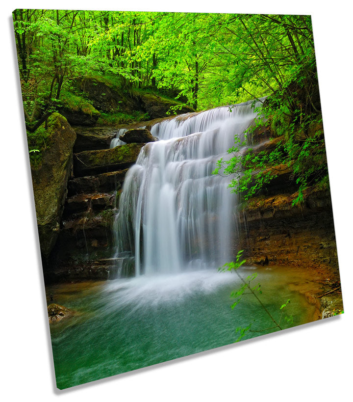 Waterfall Tropical Forest