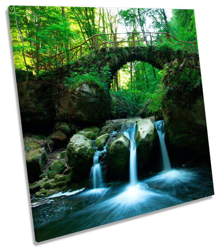 Forest River Bridge Landscape