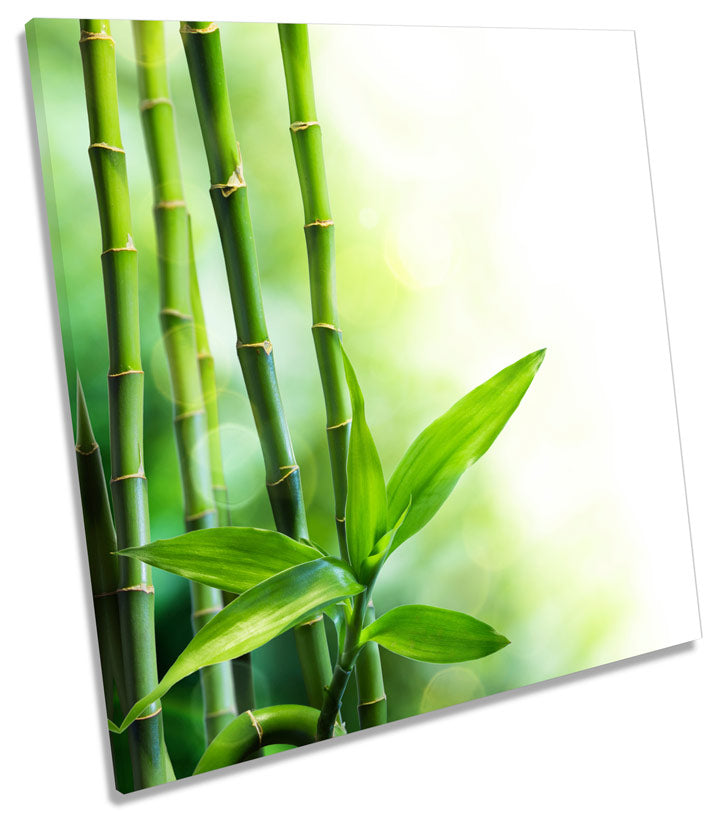 Bamboo Floral