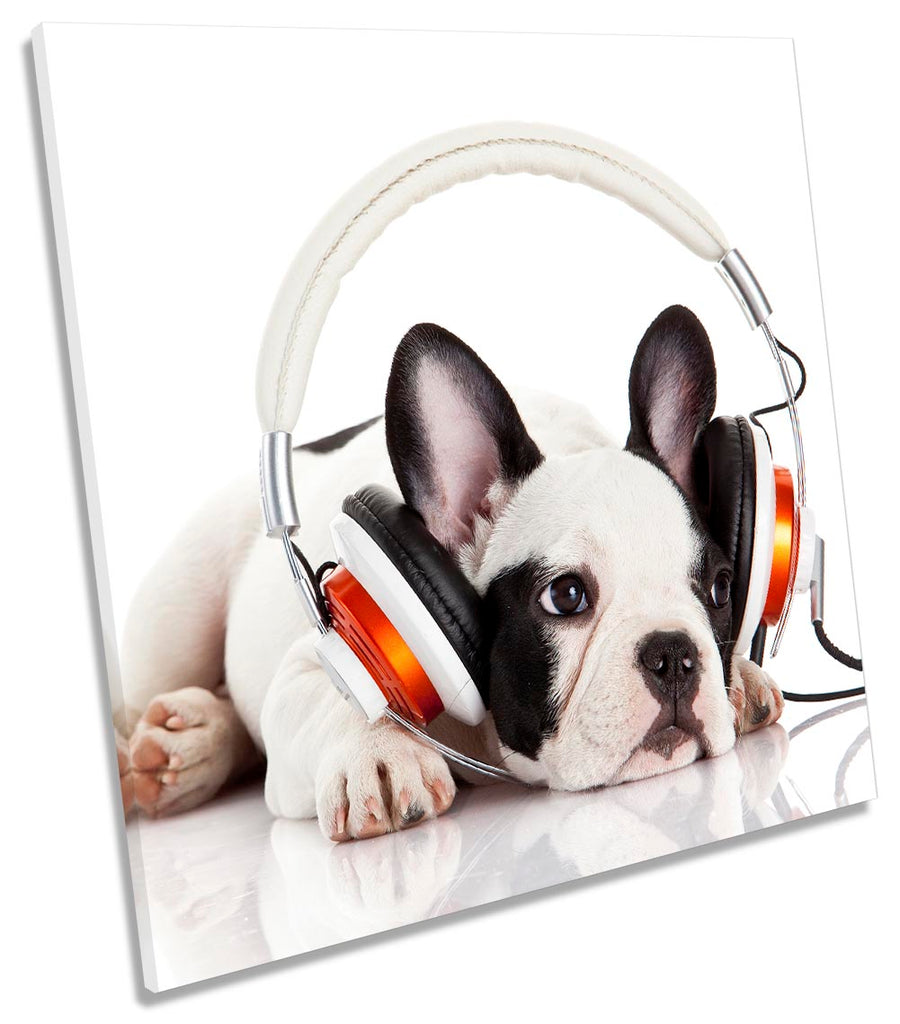 French Bulldog Puppy Music White