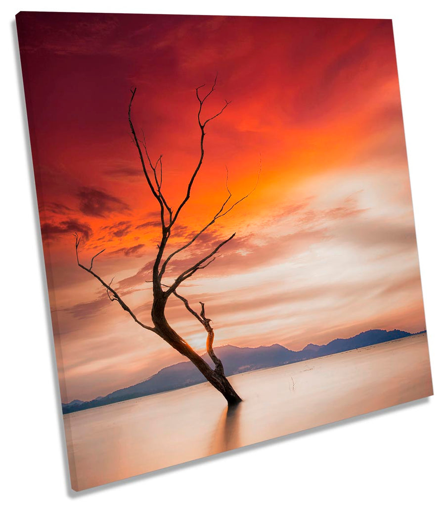 Tree Orange Sunset Lake Nature