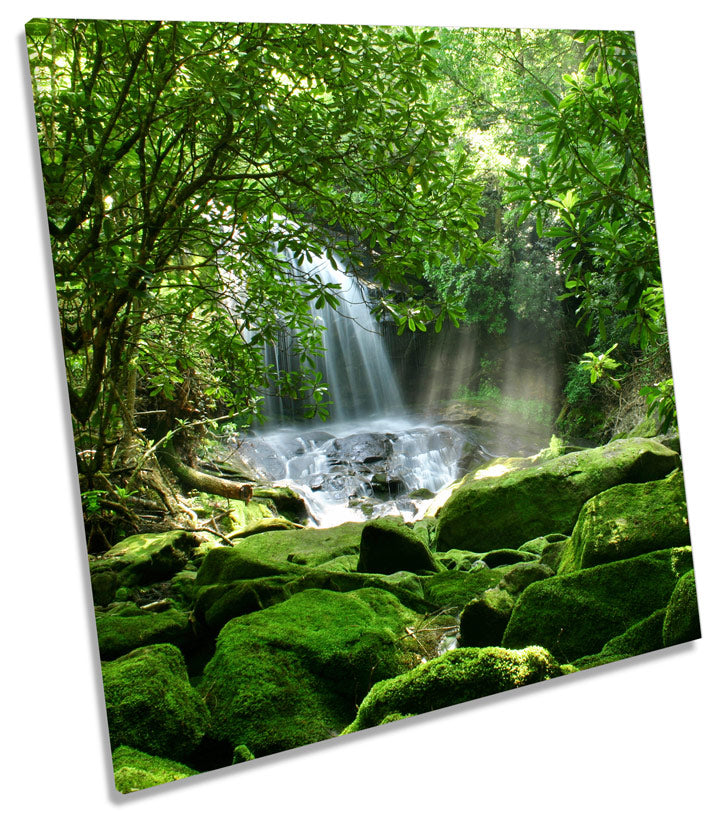 Rain Forest Waterfall Sunrise