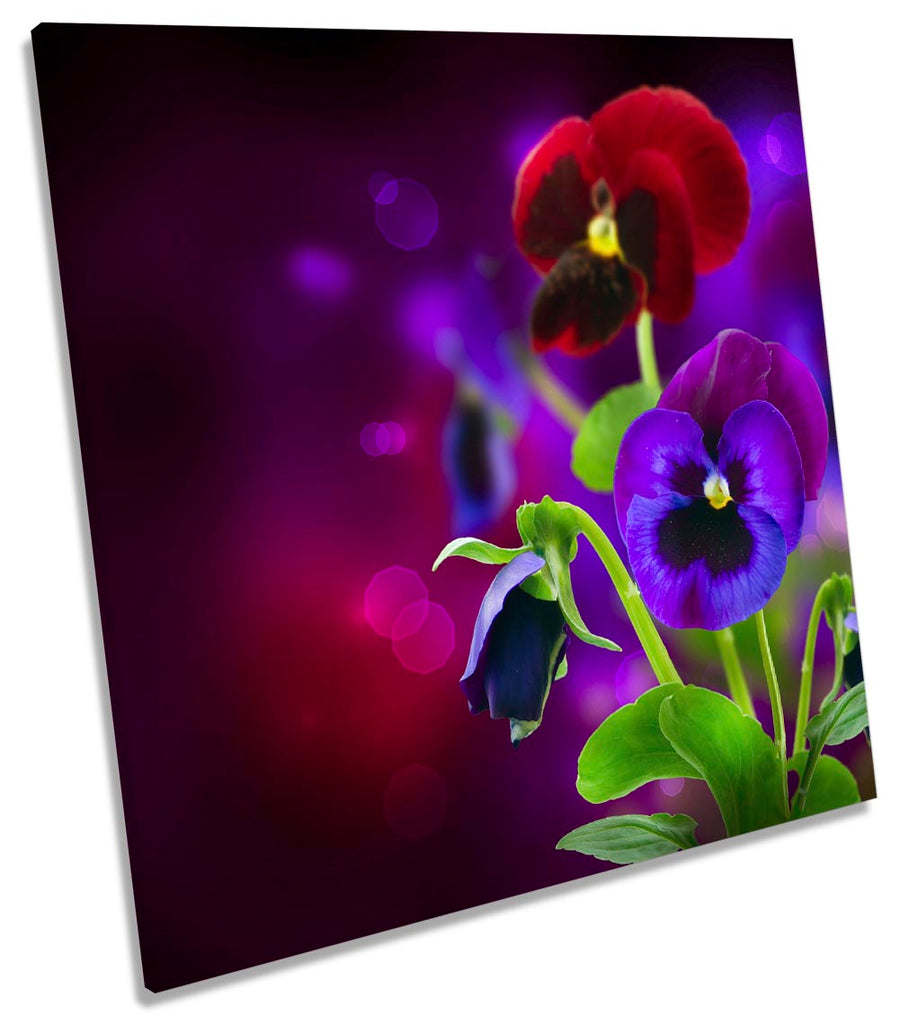 Purple Pansy Flowers Floral