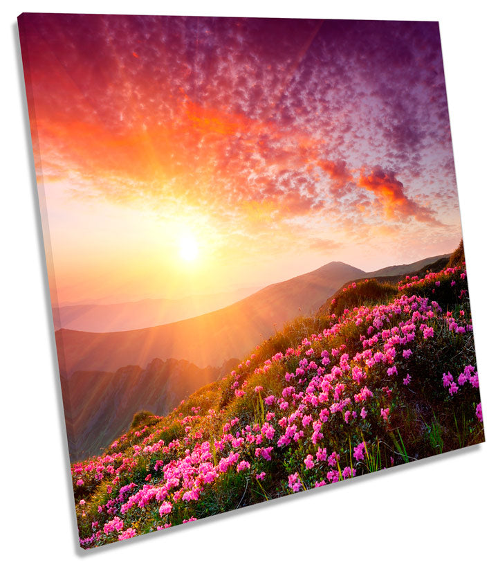 Sunset Landscape Mountain Floral