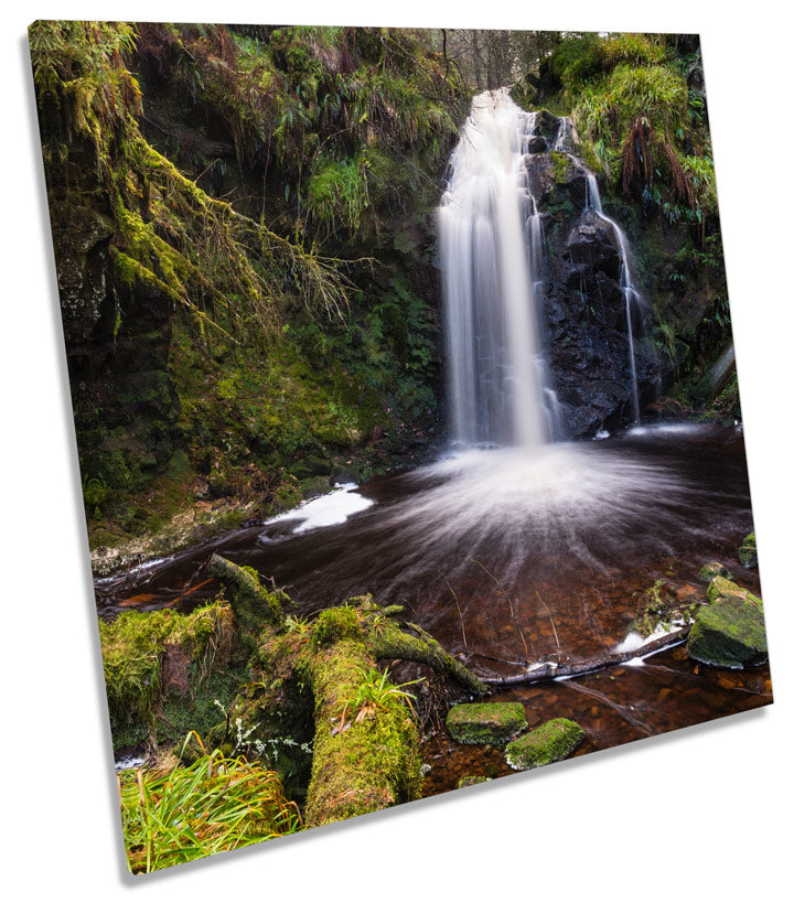 Forest Landscape Waterfall