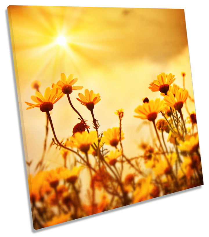 Yellow Floral Flowers Sunset