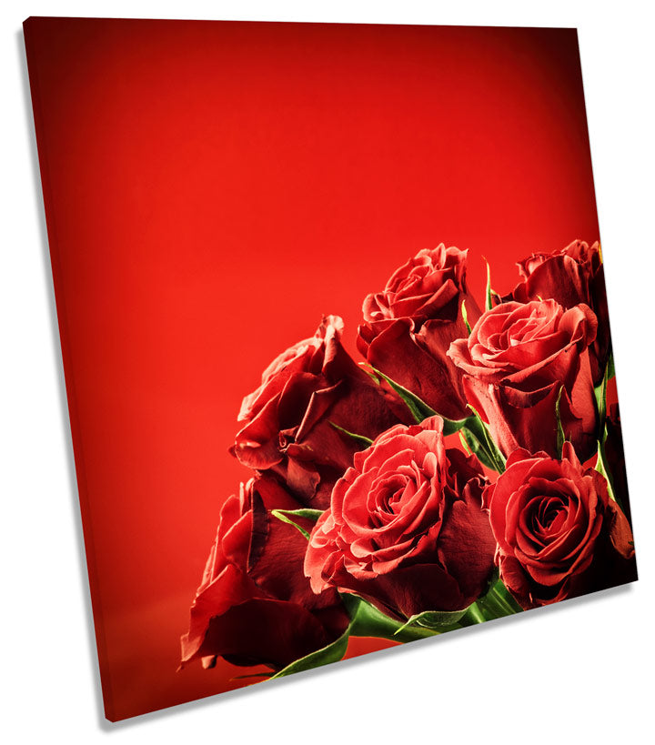 Rose Flower Red Background