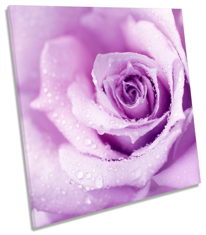 Plum Floral Flower Rose