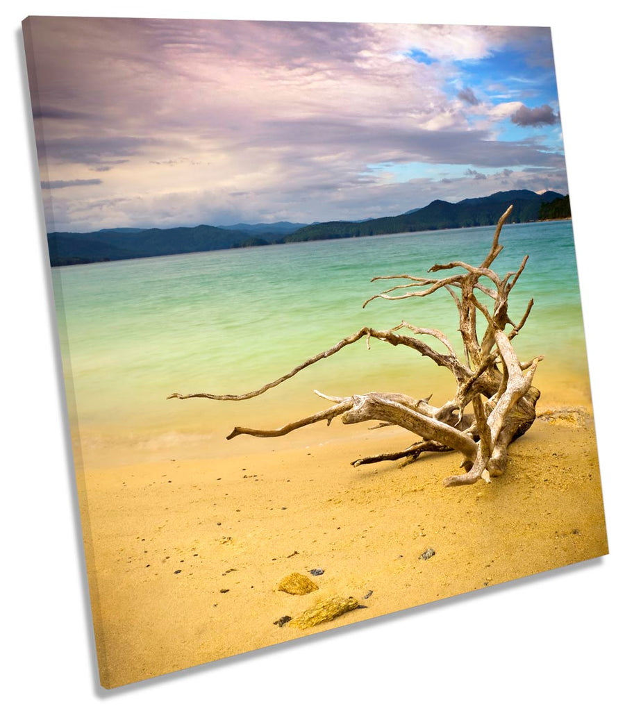 Beach Driftwood Seascape