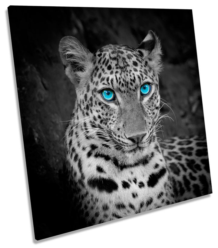 White Leopard