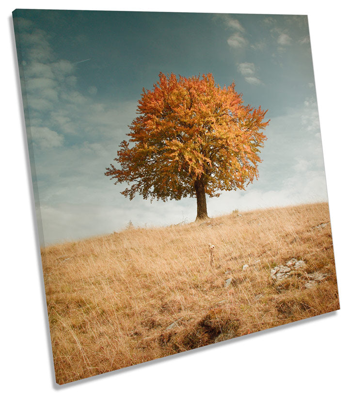 Lone Autumn Tree Landscape