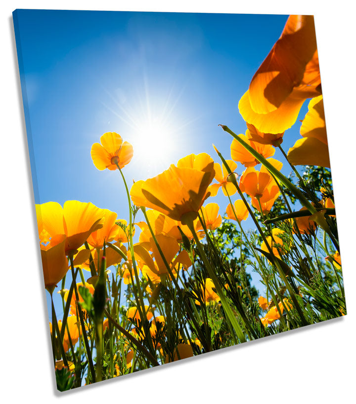 Spring Floral Flower Field