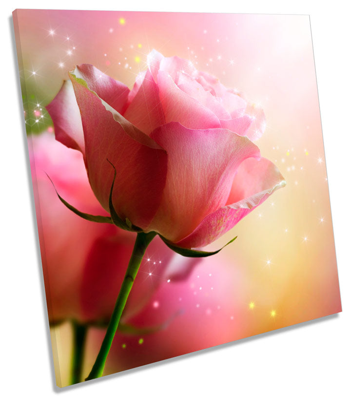 Magical Rose Love Floral Flower