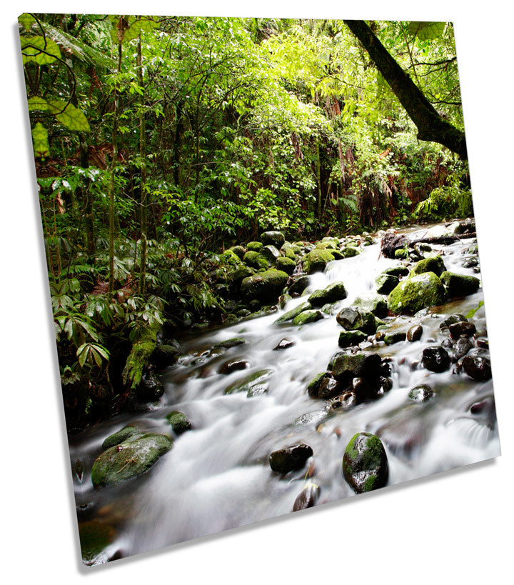 Tropical Forest River Landscape