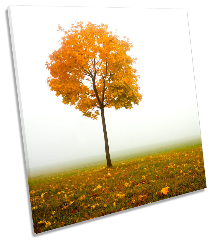 Autumn Tree Misty Landscape