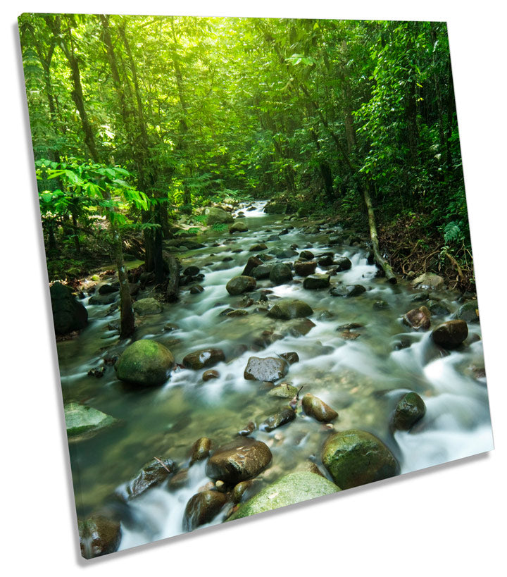 Tropical Mountain Stream Landscape