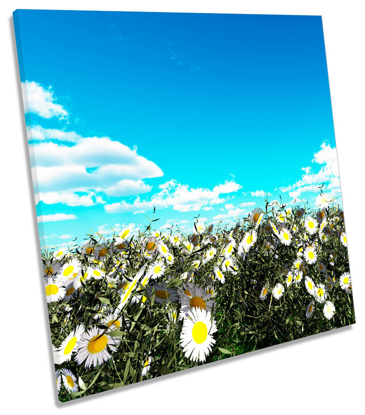 Floral Daisy Field Meadow