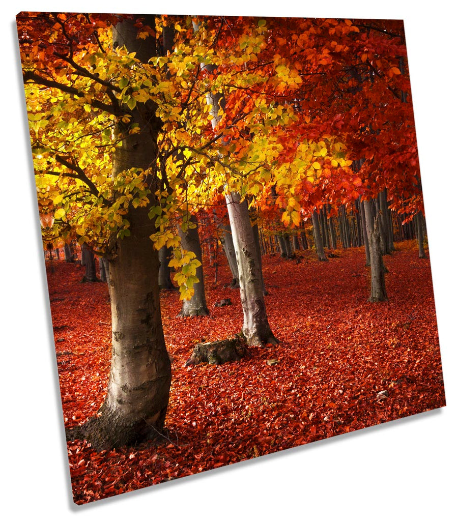 Autumn Forest Red Landscape