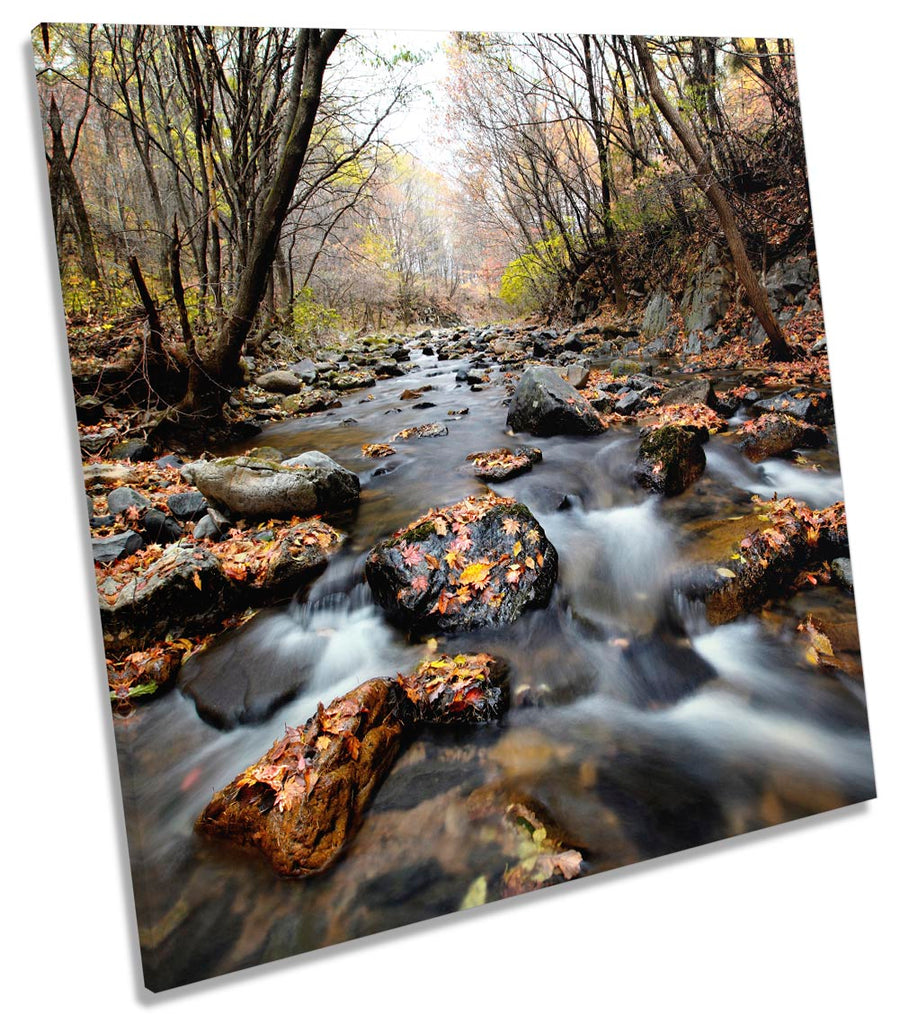 Forest Landscape Brown River